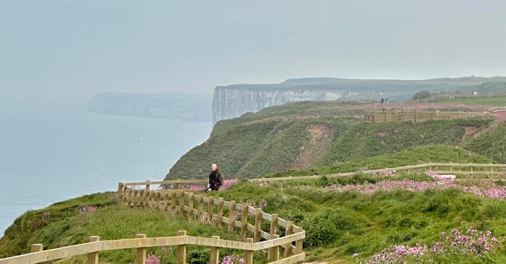 pexels-photo-30994410-30994410-1 Beautiful coastal path at Bempton Cliffs, England, with wildflowers and sea views.